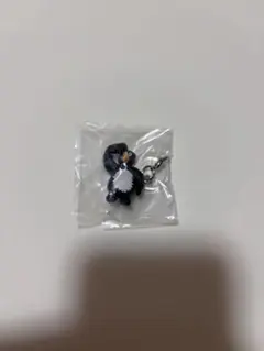 Daisuke kondo めじるしアクセサリー　ペンギン
