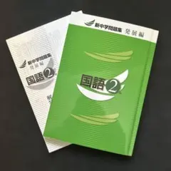 Item thumbnail for item 2d531f3e-1d65-4906-ac21-60be80de6f2a