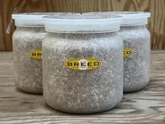 BREED　 1100　菌糸ビン　10本　じじ様 BREED 1100 菌糸ビン 10本 じじ様 - メルカリ