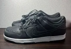 Item thumbnail for item 3da9f163-02ac-490a-86bd-7ddd52ceb4be