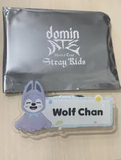 スキズ　ランダムネームバッジ　ウルフチャン　バンチャン　ネームバッチ　SKZOO