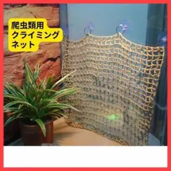 爬虫類 クライミングネット 爬虫類用ネット 登り木 ケージ レイアウト 蛇のサムネイル