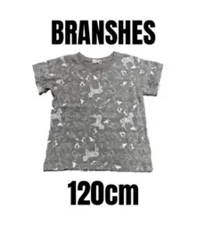 【ブランシェス】アニマル柄　半袖Tシャツ　動物　キッズ　120cm