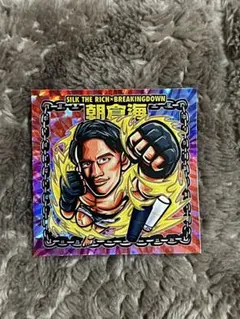 朝倉海シール　シルクザリッチ