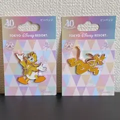 Disneyland/ディズニーランド40周年ピンバッジ（4種類）　限定品