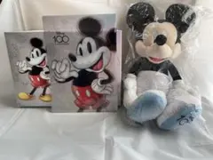 【値下げ】ディズニー100周年ぬいぐるみ★バスタオル★クリアファイル