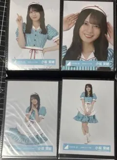 小坂菜緒　生写真 4種 コンプ 日向坂46 2025 ハロウィン