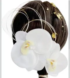 【美品】胡蝶蘭 髪飾り セット和装・成人式・卒業式