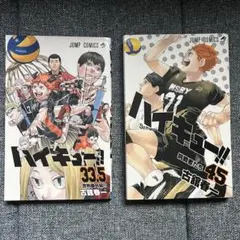 ハイキュー!! ゴミ捨て場の決戦特典 と最終巻45巻 セット