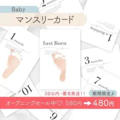 【セール&お名前カードプレゼント中】マンスリーカード 月齢フォト