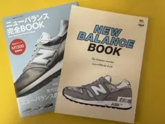 Item thumbnail for item 4193b3e3-1d57-441b-9aef-4b554c6c1e33