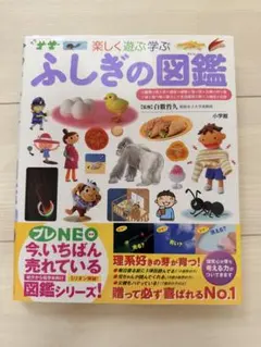 ふしぎの図鑑 楽しく遊ぶ学ぶ　【美品】