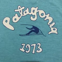 パタゴニア キャプリーン クールデイリー Tシャツ S