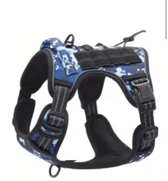 Item thumbnail for item 2e99660d-7cdd-4dcb-8222-cf1aa4f2edd5