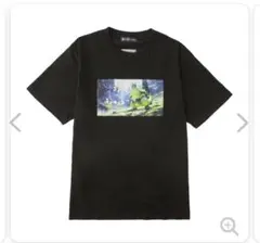 ポケモン　STRANGE PARADOX Tシャツ テツノイバラ