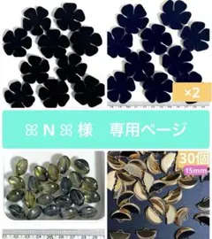 ꕤ N ꕤ 様　専用ページ