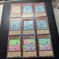 マルチャミー・フワロス プルリアニャルス9枚セット