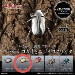 2026年最新】プラチナコガネの人気アイテム - メルカリ