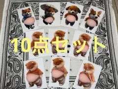 10枚 セット　柴犬 お腹ぷにぷにシール 3Dシール ステッカーシール帳