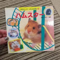 ハムスター 350シリーズ 絵本 - メルカリ