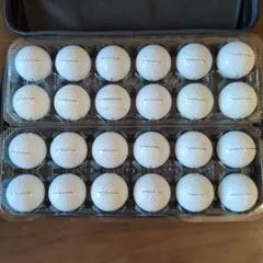 タイトリスト Pro V1x ロストゴルフボール 24個のサムネイル