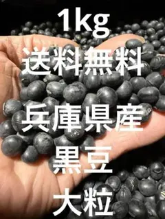 丹波篠山農協産 2L黒豆 1キロ 令和7年度新物 - メルカリ