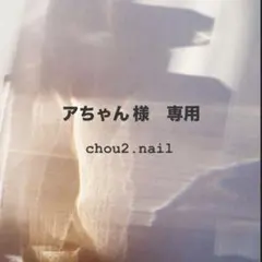 アちゃん 様　専用