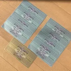 ゼビオホールディングス　株主優待券　割引券　10%OFF8枚　20%OFF1枚