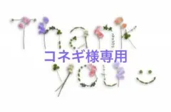 コネギ様専用　梅干しを漬けた後の赤紫蘇1kg