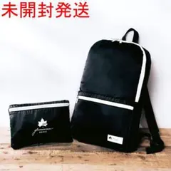 ★ロゴス【軽量 & 撥水デイパック】未開封発送のサムネイル