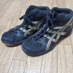 ASICS バスケットボールシューズ ブラック/ゴールド24.5cm