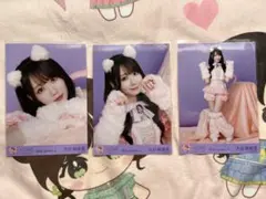 大谷映美里　生写真　猫