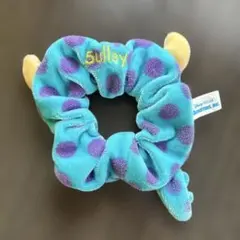 サリー　シュシュ