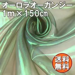 送料無料 オーロラ オーガンジー 生地 1ｍ ダークグリーン 手芸 布 Q73