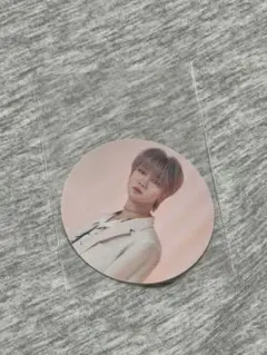 SEVENTEEN セブチ the8 ミンハオ シール Anode