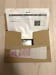 テラスタルフェス　ダンボール半開封