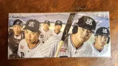 スワローズ　2024選手ビジュアルクリアカード&チケットケース　未開封
