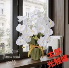 光触媒 人工観葉植物 ウォールグリーン フェイクグリーン 開運8色 