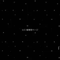 ☆ミ 様専用ページ