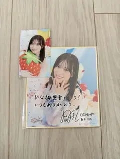日向坂46 会場くじ チャレンジくじ ひなこれ C賞 サイン入り色紙 下田