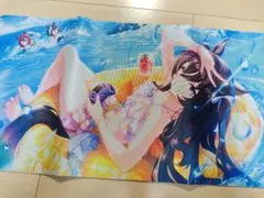 新品未使用 在庫ラスト ウマ娘 ヴィブロス プレイマット