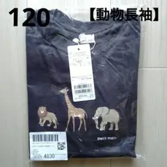 kd-tg様 リクエスト 2点 まとめ商品