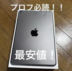 iPad mini 第5世代　スペースグレー 64GB WI-FIモデル