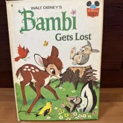 Item thumbnail for item 54d3a7cf-8afb-4d33-a5eb-271dc39c0ead