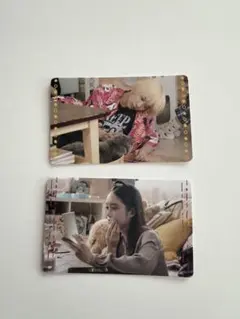 2025年最新】ベイビーわるきゅーれグッズの人気アイテム - メルカリ