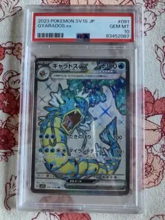 2026年最新】ギャラドス psa10の人気アイテム - メルカリ