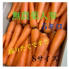 無農薬人参 5キロ Sサイズのサムネイル