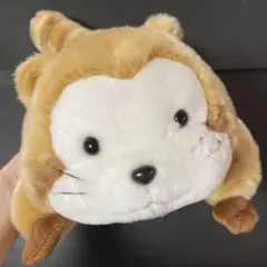 2026年最新】dx ラスカル スーパーの人気アイテム - メルカリ