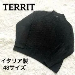 【極美品】TERRIT ニット セーター イタリア製 ビスコース Lサイズ 48