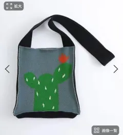 未使用　FrenchBullサボテン刺繍 ショルダーバッグ ブルーグレー